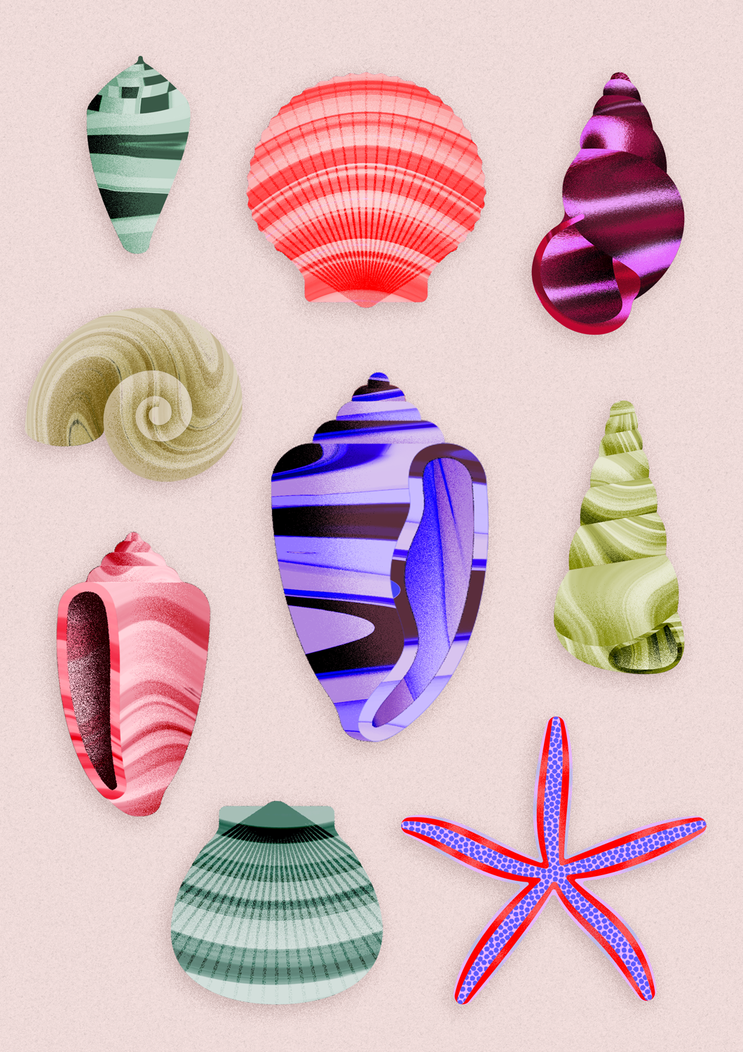 Julia-Schwarz-Ilustration_Shells_content