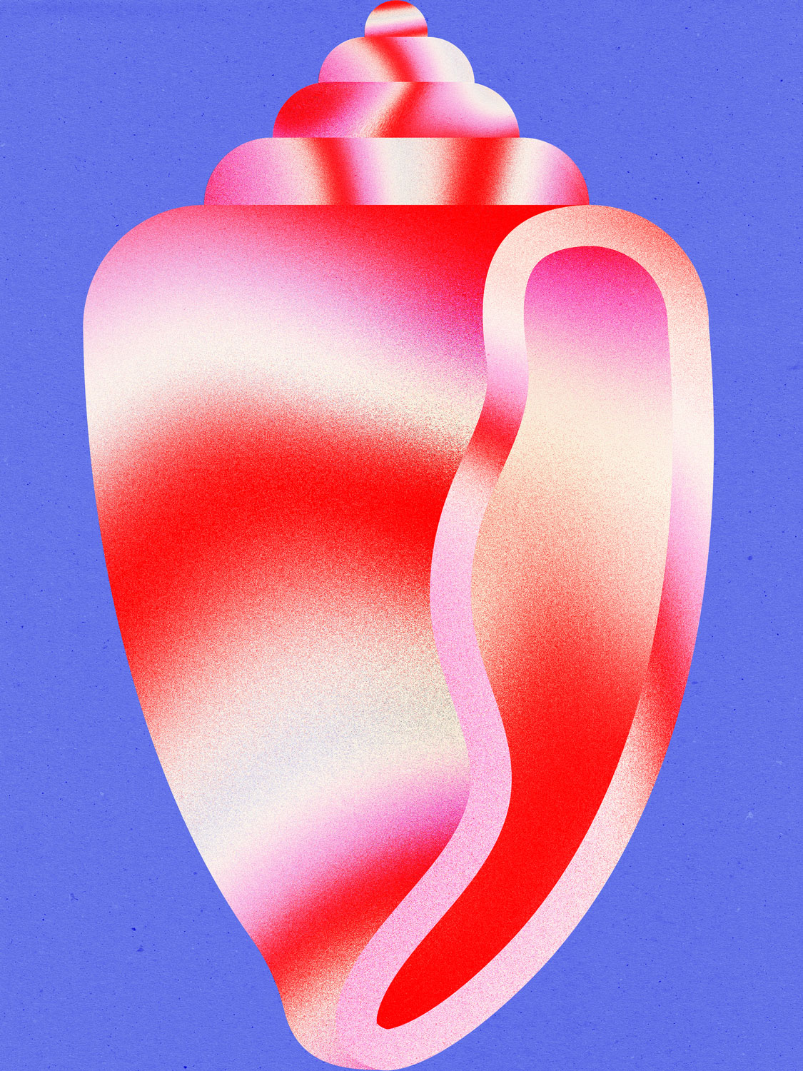 Julia-Schwarz_personal-project_shell_1_1
