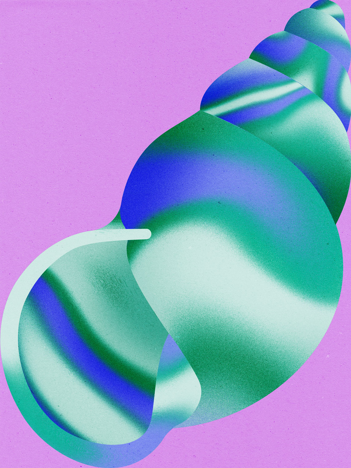Julia-Schwarz_personal-project_shell_2
