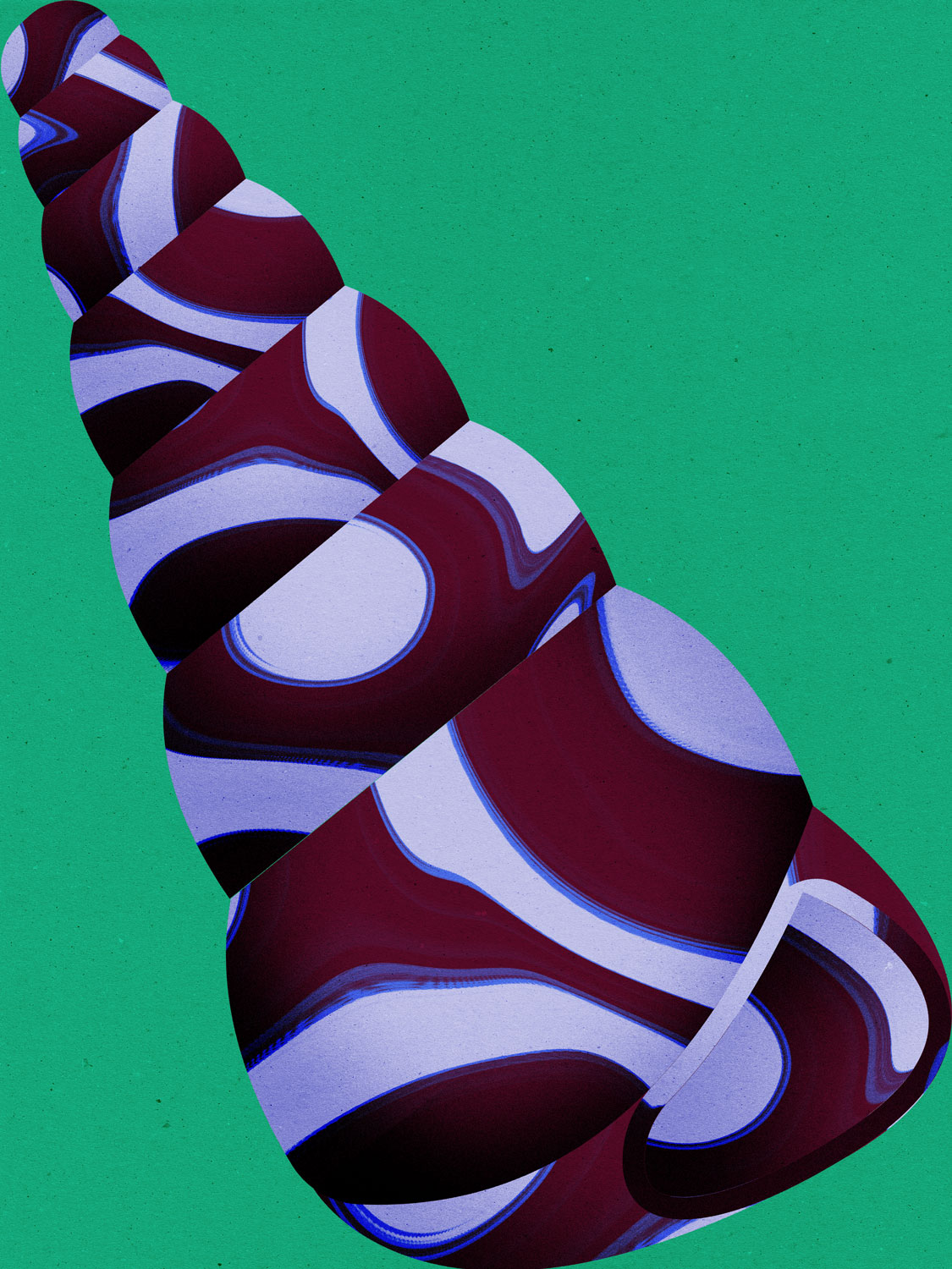 Julia-Schwarz_personal-project_shell_3