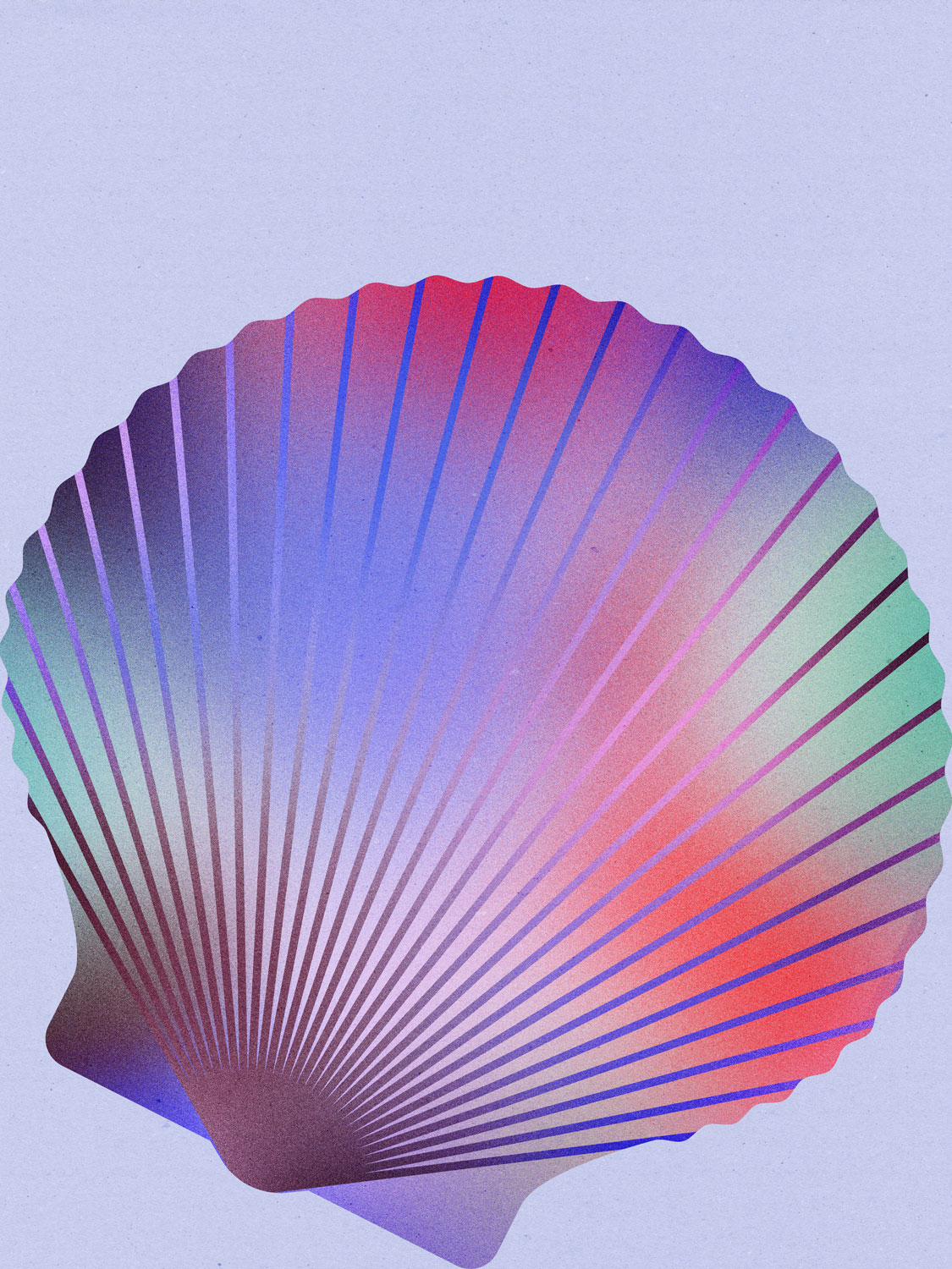 Julia-Schwarz_personal-project_shell_4